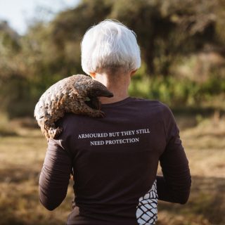 MEET LISA MAIN IMAGE